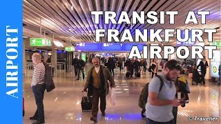 TRANSIT WALK AT FRANKFURT Airport FRA Terminal 1  Connection Flight Transfer Arriving amp Departing [upl. by Nya]